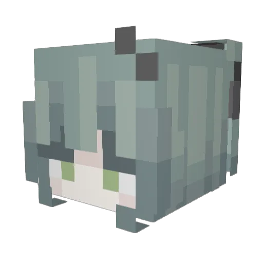 shenwu0 Minecraft avatar head, 3D render