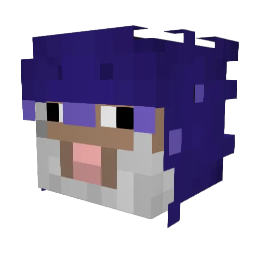 shep Minecraft avatar head, 3D render