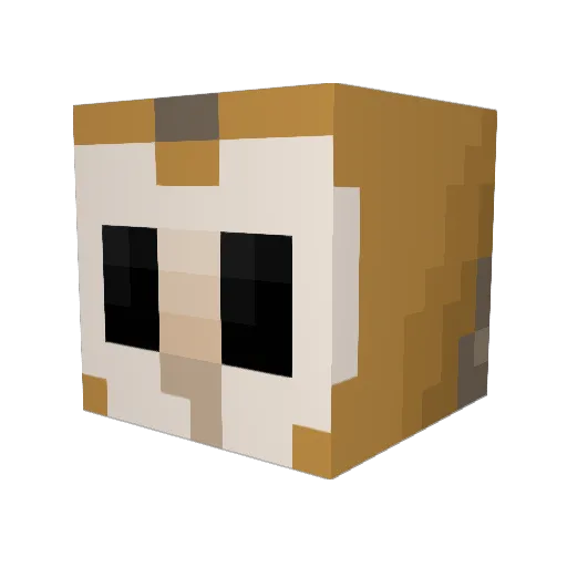 shepardpolska Minecraft avatar head, 3D render