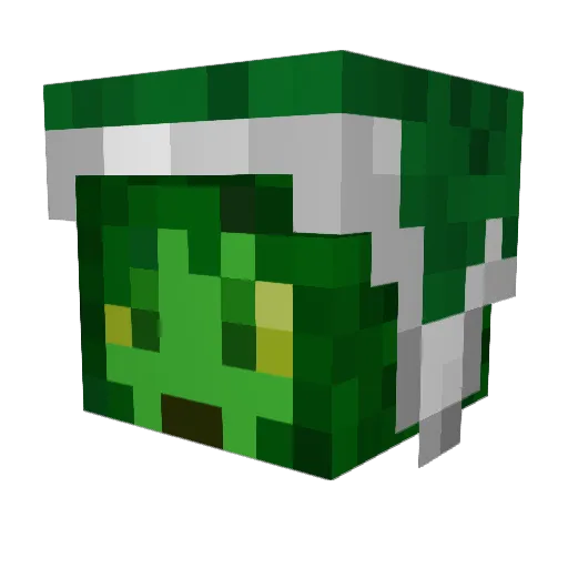 shepp47 Minecraft avatar head, 3D render