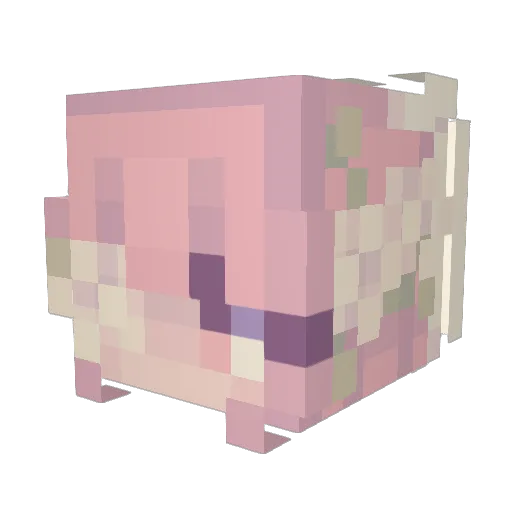 shermijo Minecraft avatar head, 3D render
