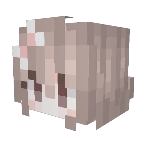 sherry826 Minecraft avatar head, 3D render