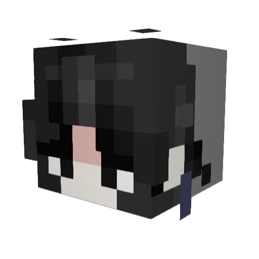 sherry_tan Minecraft avatar head, 3D render