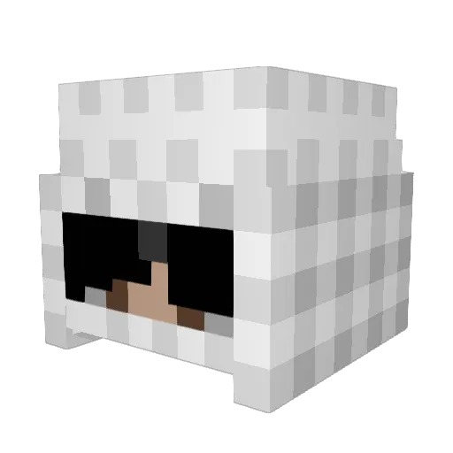shewants6 Minecraft avatar head, 3D render
