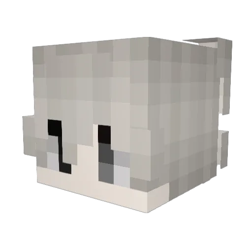 sheye Minecraft avatar head, 3D render