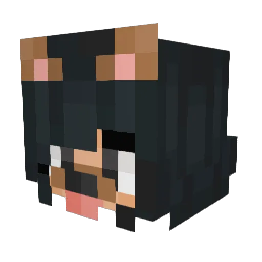 sheyenne Minecraft avatar head, 3D render