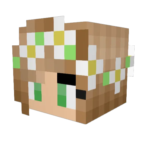 shezicorn Minecraft avatar head, 3D render