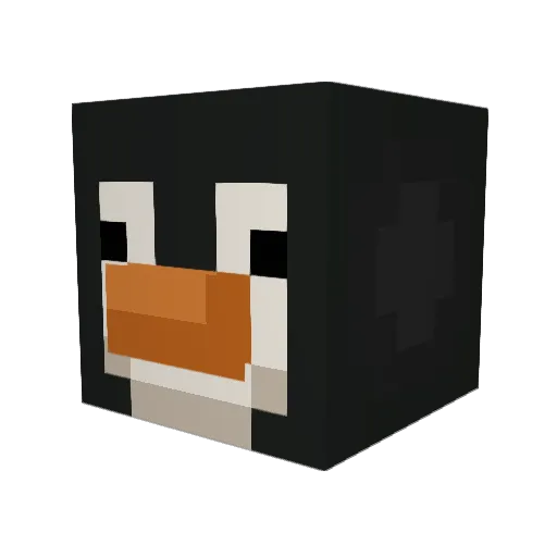 shhh123 Minecraft avatar head, 3D render