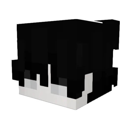 shhort Minecraft avatar head, 3D render