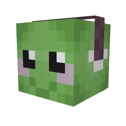 shhtonk Minecraft avatar head, 3D render