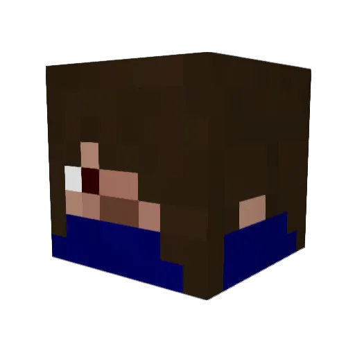 shian_fp Minecraft avatar head, 3D render