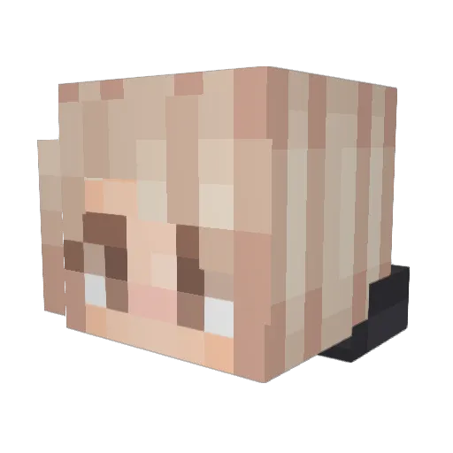 shianne25 Minecraft avatar head, 3D render