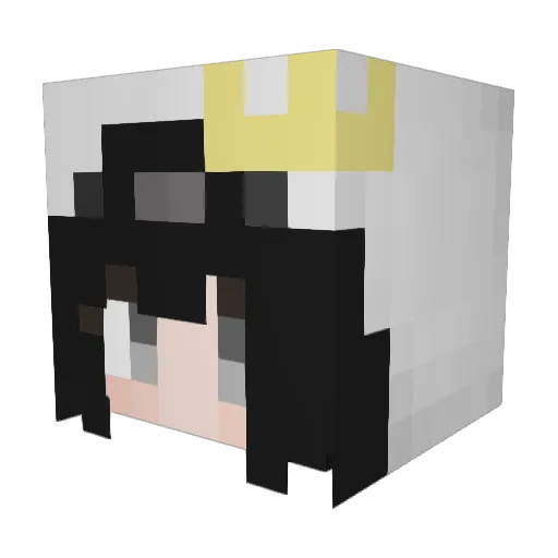 shiasniper Minecraft avatar head, 3D render