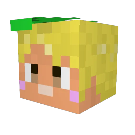 shibaken42 Minecraft avatar head, 3D render