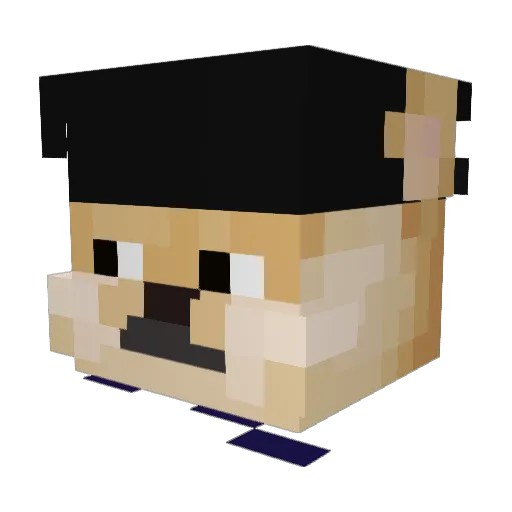 shibeJr Minecraft avatar head, 3D render