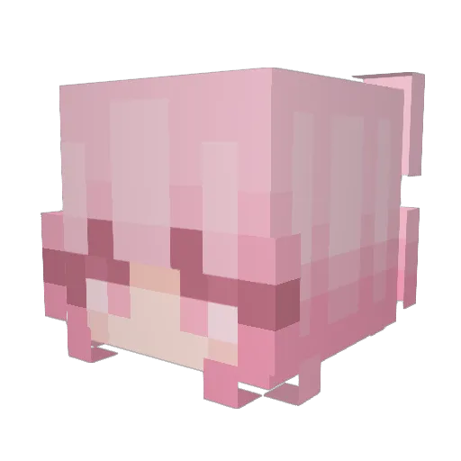 shiddenly Minecraft avatar head, 3D render