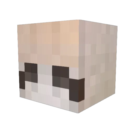 shifeLx Minecraft avatar head, 3D render