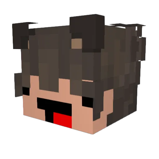 shifterlynx18 Minecraft avatar head, 3D render