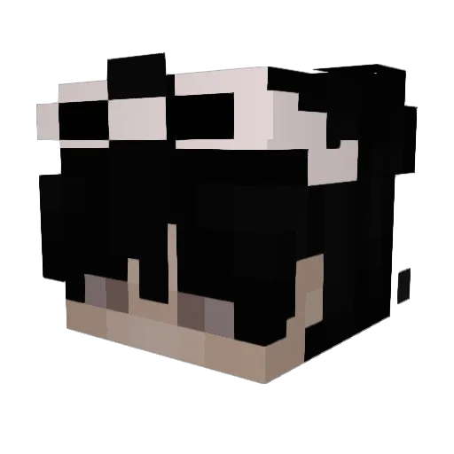 shiftyyfrann Minecraft avatar head, 3D render