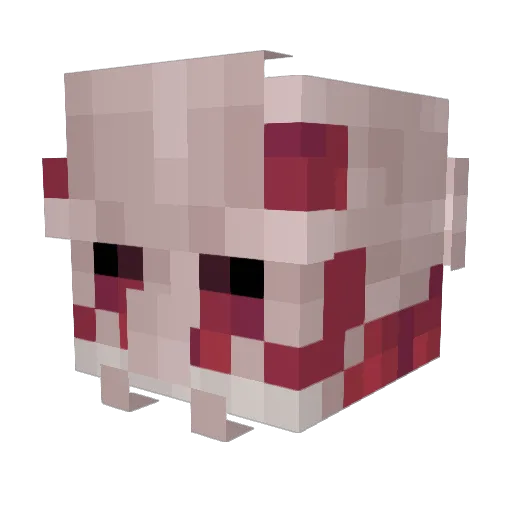 shigarakikiki Minecraft avatar head, 3D render