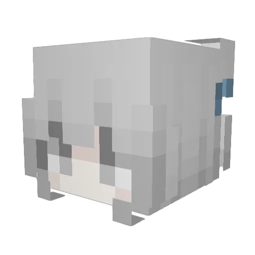 shigeru2 Minecraft avatar head, 3D render