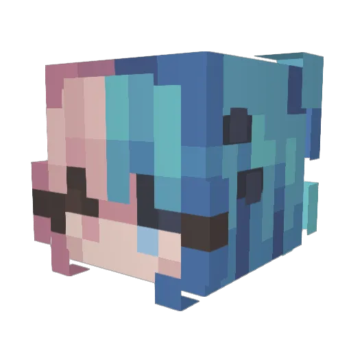 shigulle Minecraft avatar head, 3D render