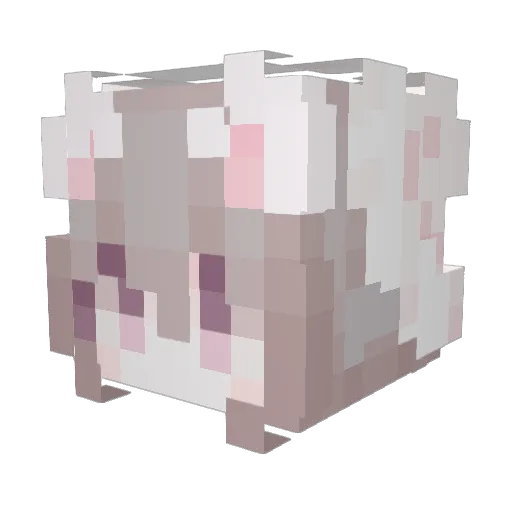 shijii_ Minecraft avatar head, 3D render