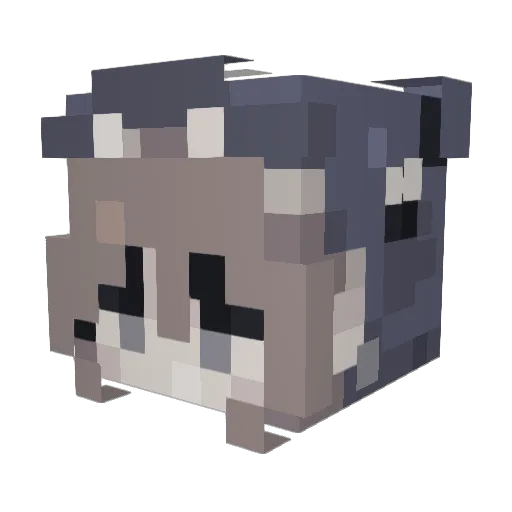 shikaaya Minecraft avatar head, 3D render