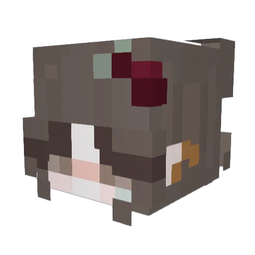 shikaruwu Minecraft avatar head, 3D render