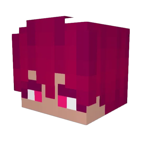 shikatsu Minecraft avatar head, 3D render