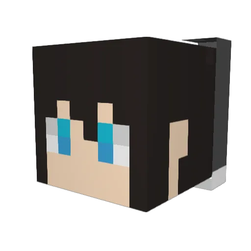 shiki2504 Minecraft avatar head, 3D render
