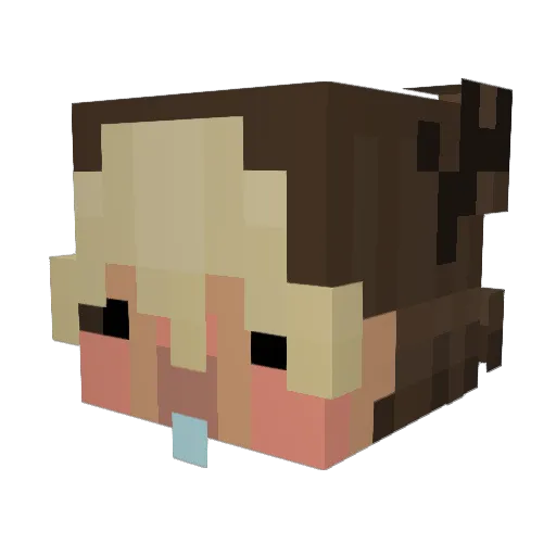 shikishami Minecraft avatar head, 3D render