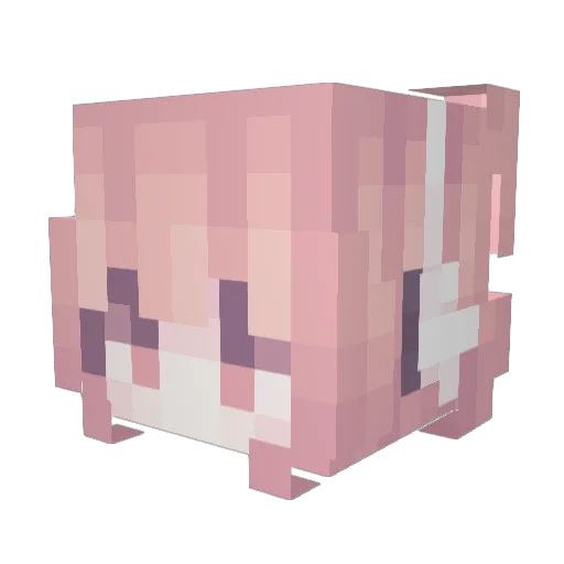 shilmy Minecraft avatar head, 3D render