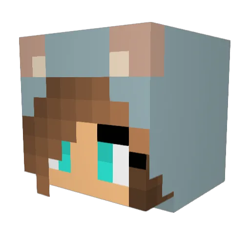 shimeji222 Minecraft avatar head, 3D render
