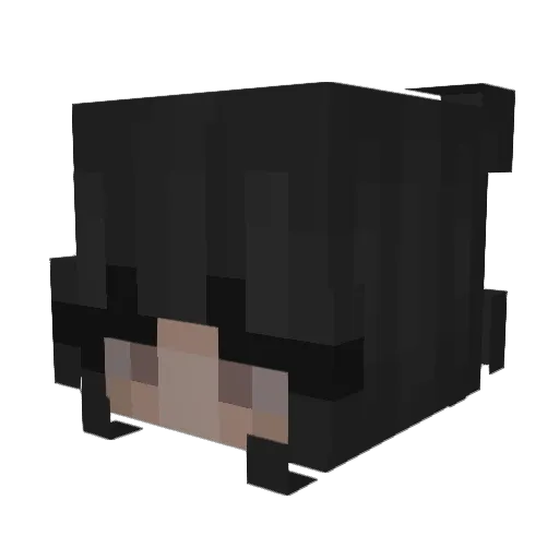 shimiy07 Minecraft avatar head, 3D render