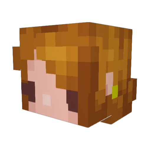 shimmer_cat Minecraft avatar head, 3D render