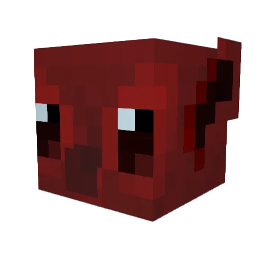shimwoo Minecraft avatar head, 3D render