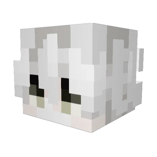 shimwoojin05 Minecraft avatar head, 3D render