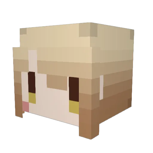 shin2014 Minecraft avatar head, 3D render