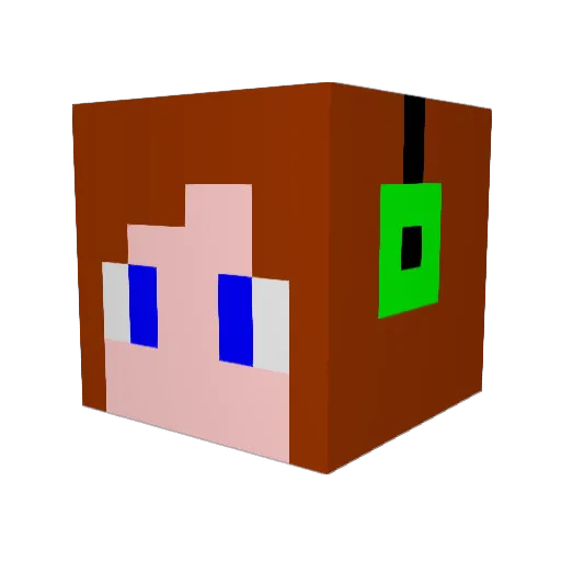 shin495 Minecraft avatar head, 3D render