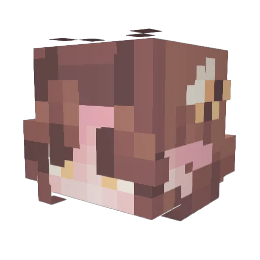 shinelings Minecraft avatar head, 3D render