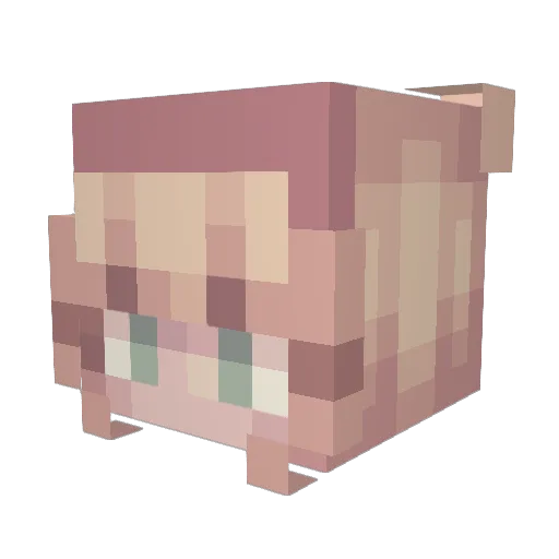 shinerqueen Minecraft avatar head, 3D render