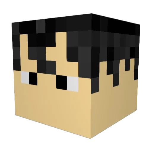 shinewoong Minecraft avatar head, 3D render