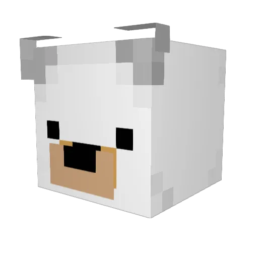 shinnie42 Minecraft avatar head, 3D render