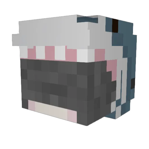 shinnyshoe Minecraft avatar head, 3D render