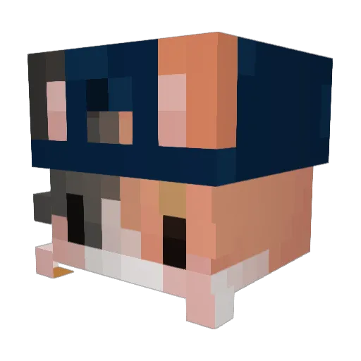 shinosdog Minecraft avatar head, 3D render