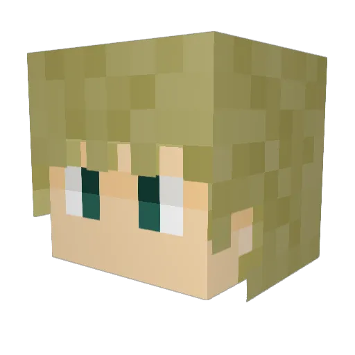 shinqwq Minecraft avatar head, 3D render