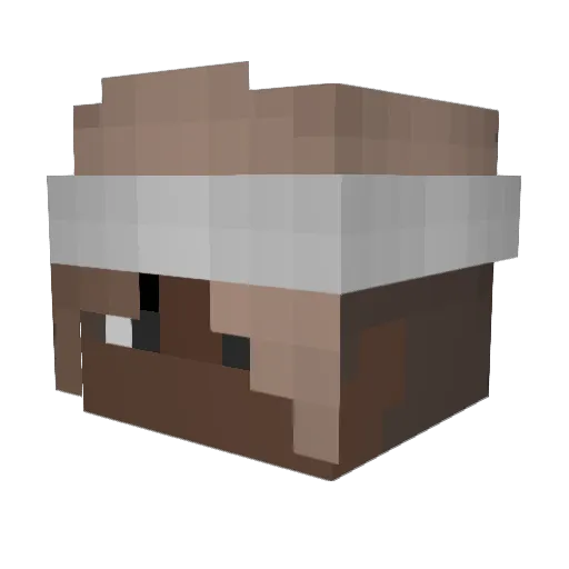 shinseinaaa Minecraft avatar head, 3D render