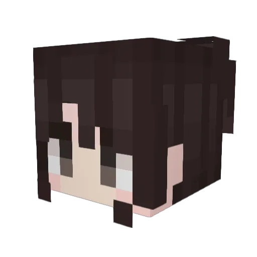 shinsiaa__ Minecraft avatar head, 3D render