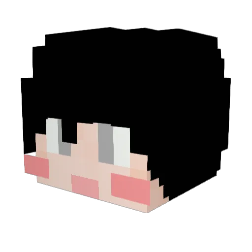 shinsoo1 Minecraft avatar head, 3D render